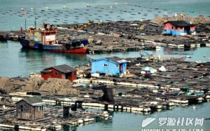 罗源湾的“海上浮城”
