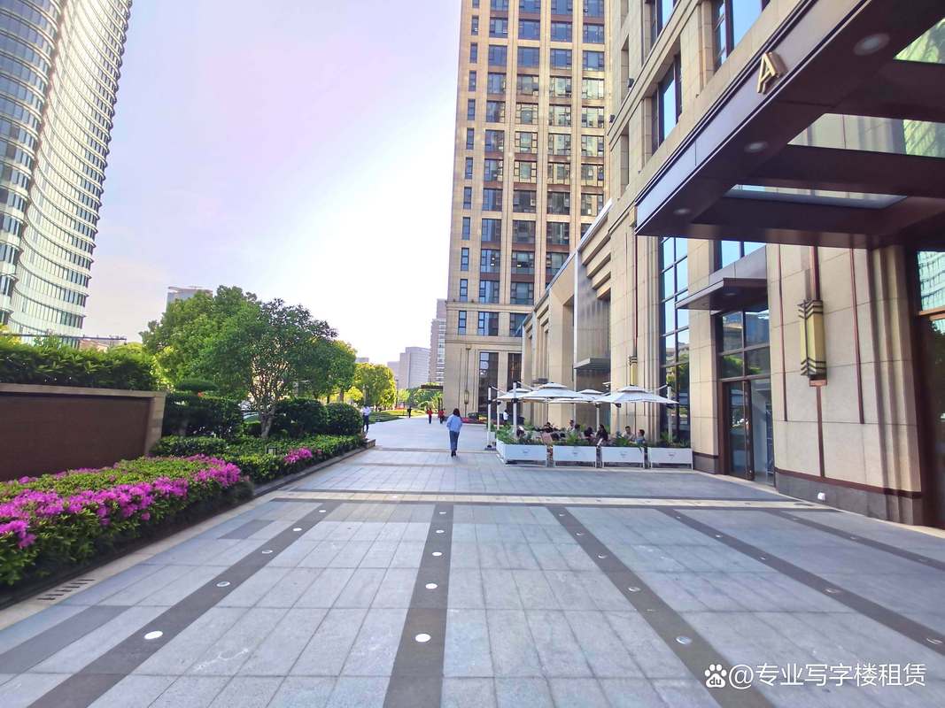 地下车库的政府车位物业有权出租吗