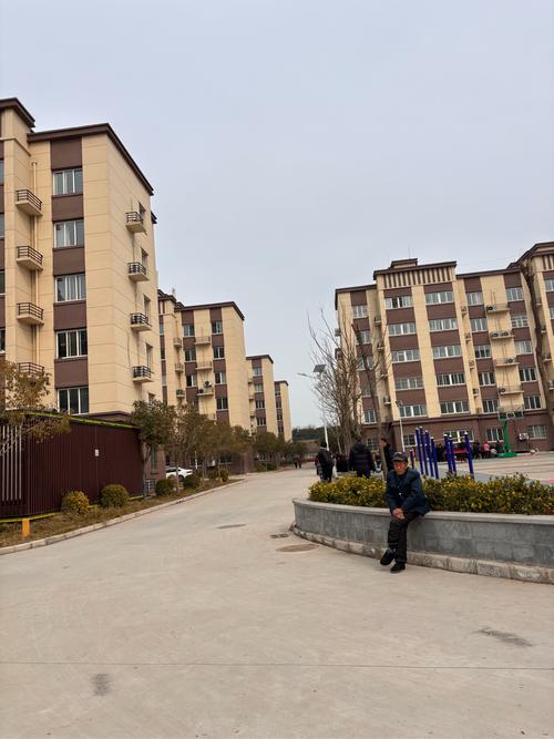 动迁安置房三年不得转让时间是从什么时候开始算起的? 动迁安置房三年不得转让时间是从什么时候开始算起的?